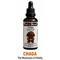 Chaga Extract Chaga Extract