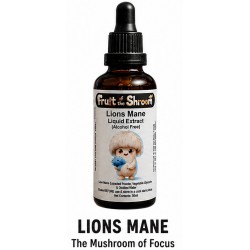 Lions Mane Extract Lions Mane Extract
