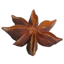 Aniseed