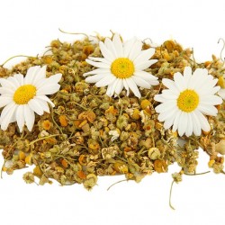 Chamomile