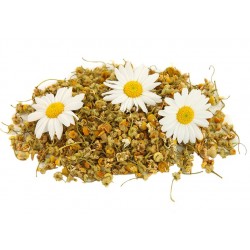 Chamomile - Concentrate