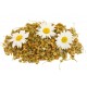 Chamomile Chamomile