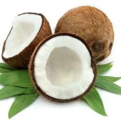 Coconut - Concentrate