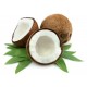 Coconut Coconut