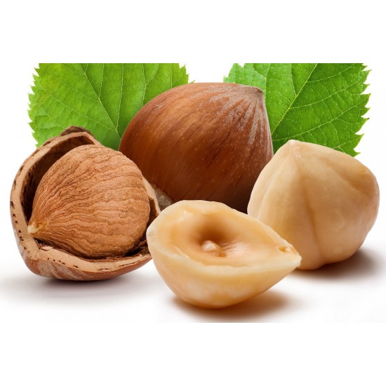 Hazelnut - Concentrate Hazelnut - Concentrate