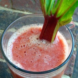 Rhubarb Juice - Concentrate - Clearance Item