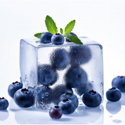 Blueberry Freeze