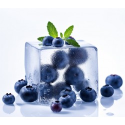 Blueberry Freeze