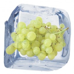 Grape Freeze (Zero Nicotine)