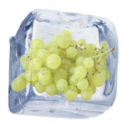 Grape Freeze - Concentrate