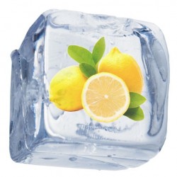 Lemon Freeze - Concentrate