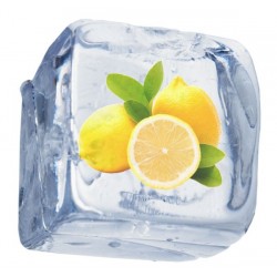 Lemon Freeze - Short Fill 