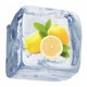 Lemon Freeze Lemon Freeze