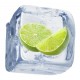 Lime Freeze Lime Freeze