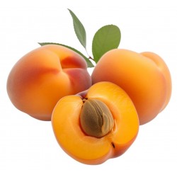 Apricot - Concentrate Apricot - Concentrate