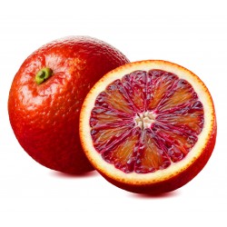 Blood Orange - Concentrate