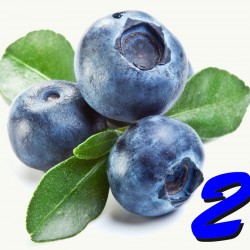 Blueberry 2 (Zero Nicotine)