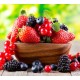 Forest Fruits V2 Forest Fruits V2