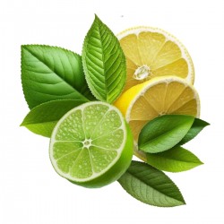Lemon & Lime - Concentrate