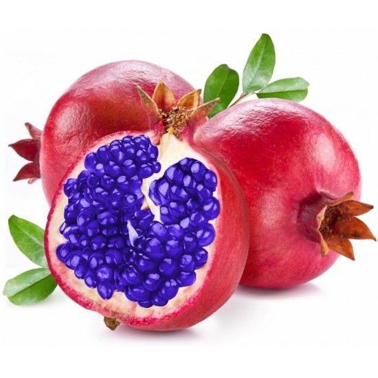 Pommy Berry Pommy Berry