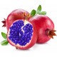 Pommy Berry Pommy Berry