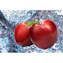 Apple Fizz