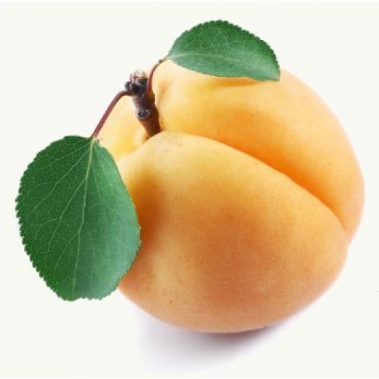 Apricot (Zero Nicotine) Apricot (Zero Nicotine)