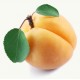 Apricot Apricot