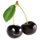 Black Cherry Black Cherry