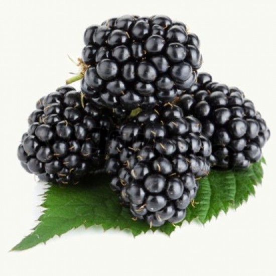 Blackberry (Zero Nicotine) Blackberry (Zero Nicotine)