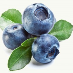 Blueberry (Zero Nicotine)
