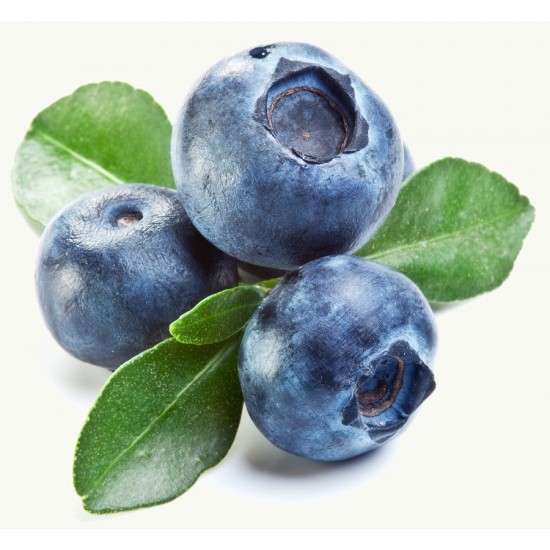 Blueberry (Zero Nicotine)