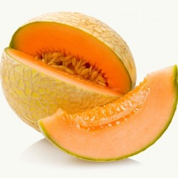 Cantaloupe Melon