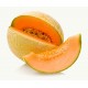 Cantaloupe Melon Cantaloupe Melon