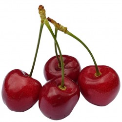 Cherry - Short Fill 