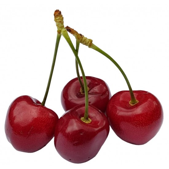Cherry Cherry
