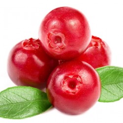 Cranberry (Zero Nicotine)