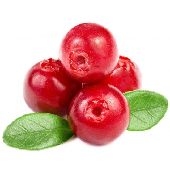Cranberry - Short Fill Cranberry - Short Fill