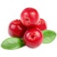 Cranberry Cranberry