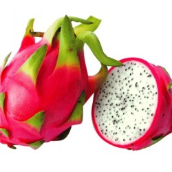 Dragon Fruit