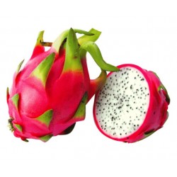 Dragon Fruit