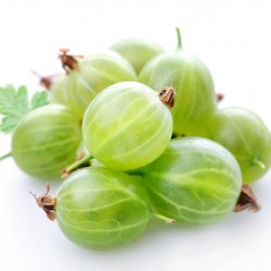 Gooseberry