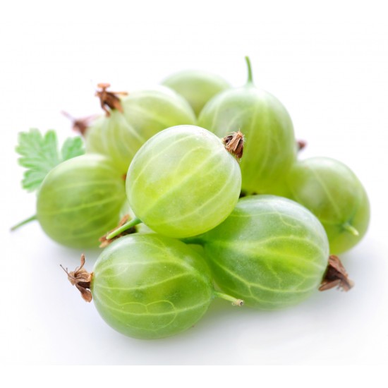 Gooseberry Gooseberry