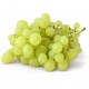 Grape Grape