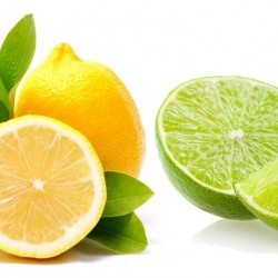 Lemon and Lime (Zero Nicotine)