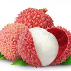 Lychee