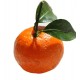 Mandarin Mandarin