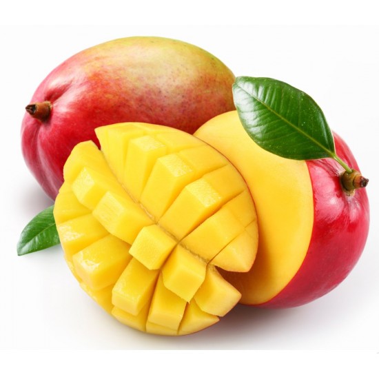 Mango - Concentrate Mango - Concentrate