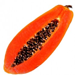 Papaya