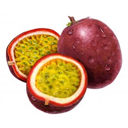 Passion Fruit - Concentrate